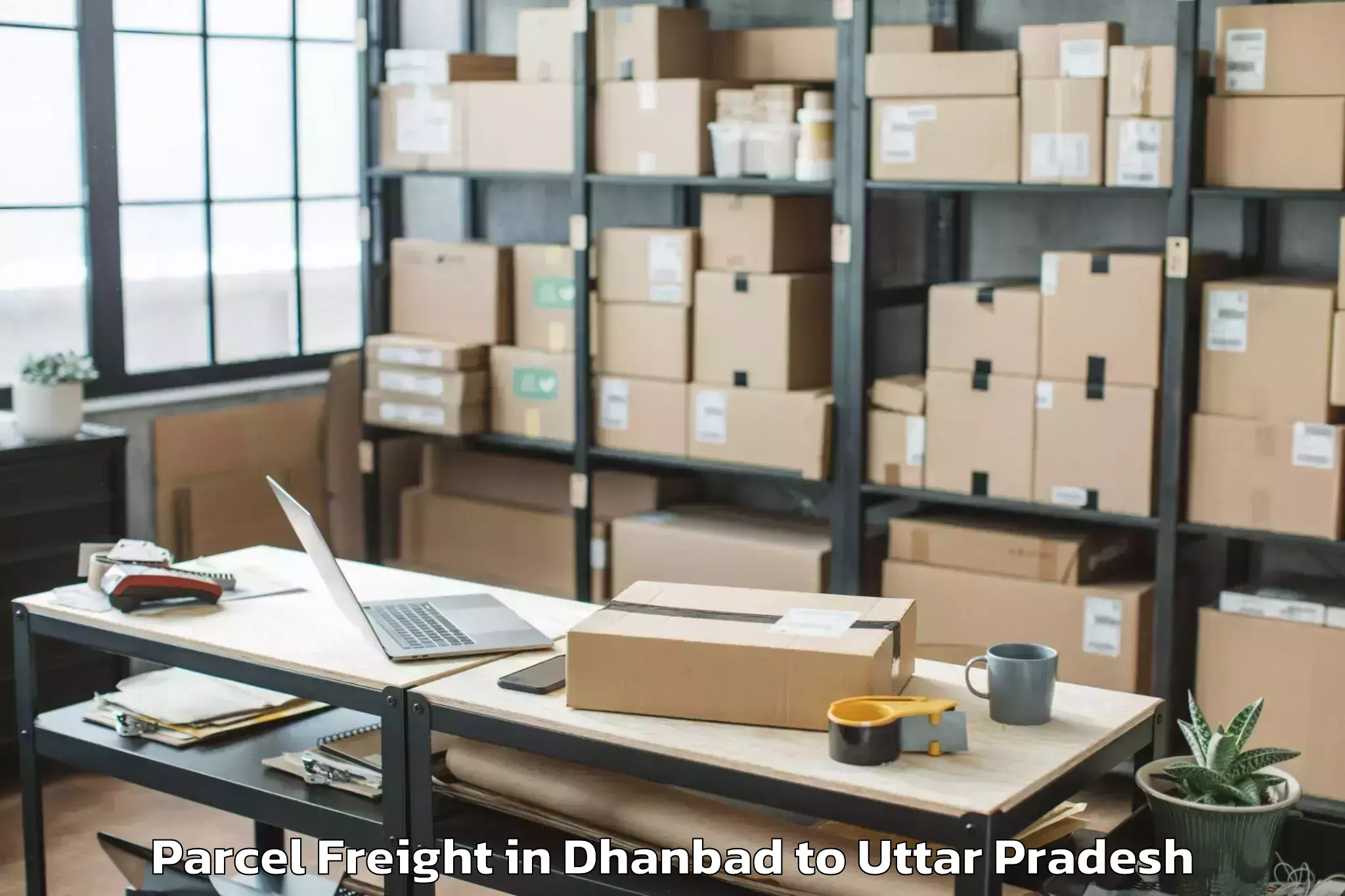 Trusted Dhanbad to Orai Parcel Freight